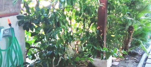 3 rooms House in Melendugno, Italy No. 175471 14