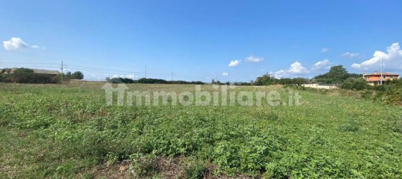 12408m² Land in Viterbo, Italy No. 328320 5
