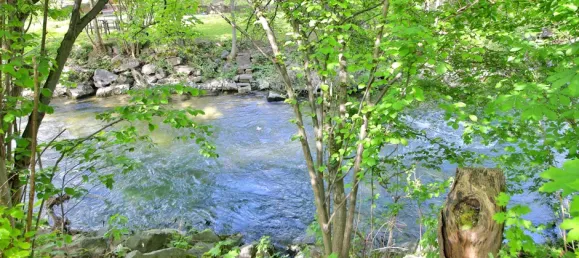 5-Zimmer Schlösser in Baden-Württemberg, Germany, Nr. 51762 33