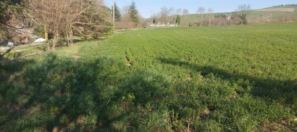 Земельный участок с 1 комнатой в Меркато Сарачено, Италия № 133574 19