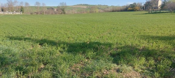 Земельный участок с 1 комнатой в Меркато Сарачено, Италия № 133574 7