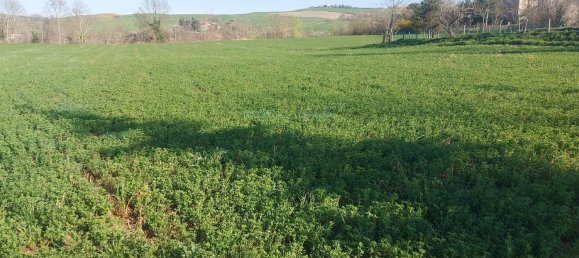 Земельный участок с 1 комнатой в Меркато Сарачено, Италия № 133574 4