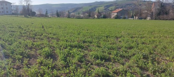 Земельный участок с 1 комнатой в Меркато Сарачено, Италия № 133574 9