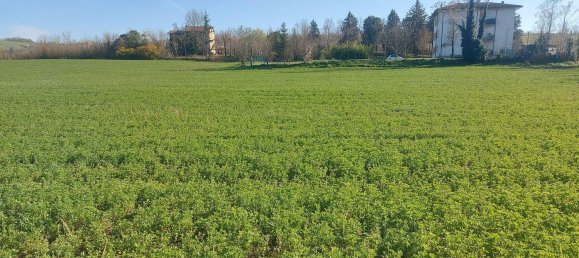 Земельный участок с 1 комнатой в Меркато Сарачено, Италия № 133574 5