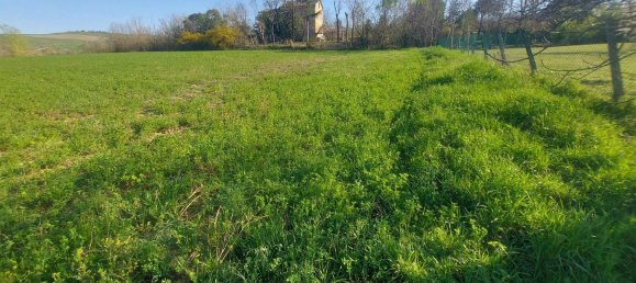 Земельный участок с 1 комнатой в Меркато Сарачено, Италия № 133574 14