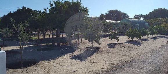 3 Schlafzimmer Haus in Alcochete, Portugal, Nr. 189369 10