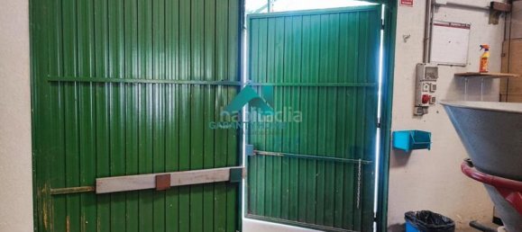 440m² Warehouse in Madrid, Spain No. 167702 19