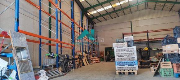 440m² Warehouse in Madrid, Spain No. 167702 9