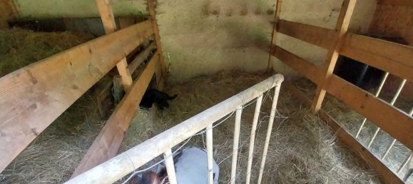 2 bedrooms House in Tarn, France No. 337230 12