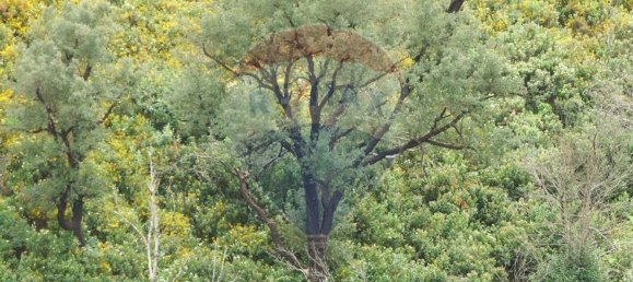 Studio in Silves, Portugal No. 39889 6