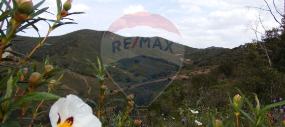 Studio in Silves, Portugal No. 39889 4