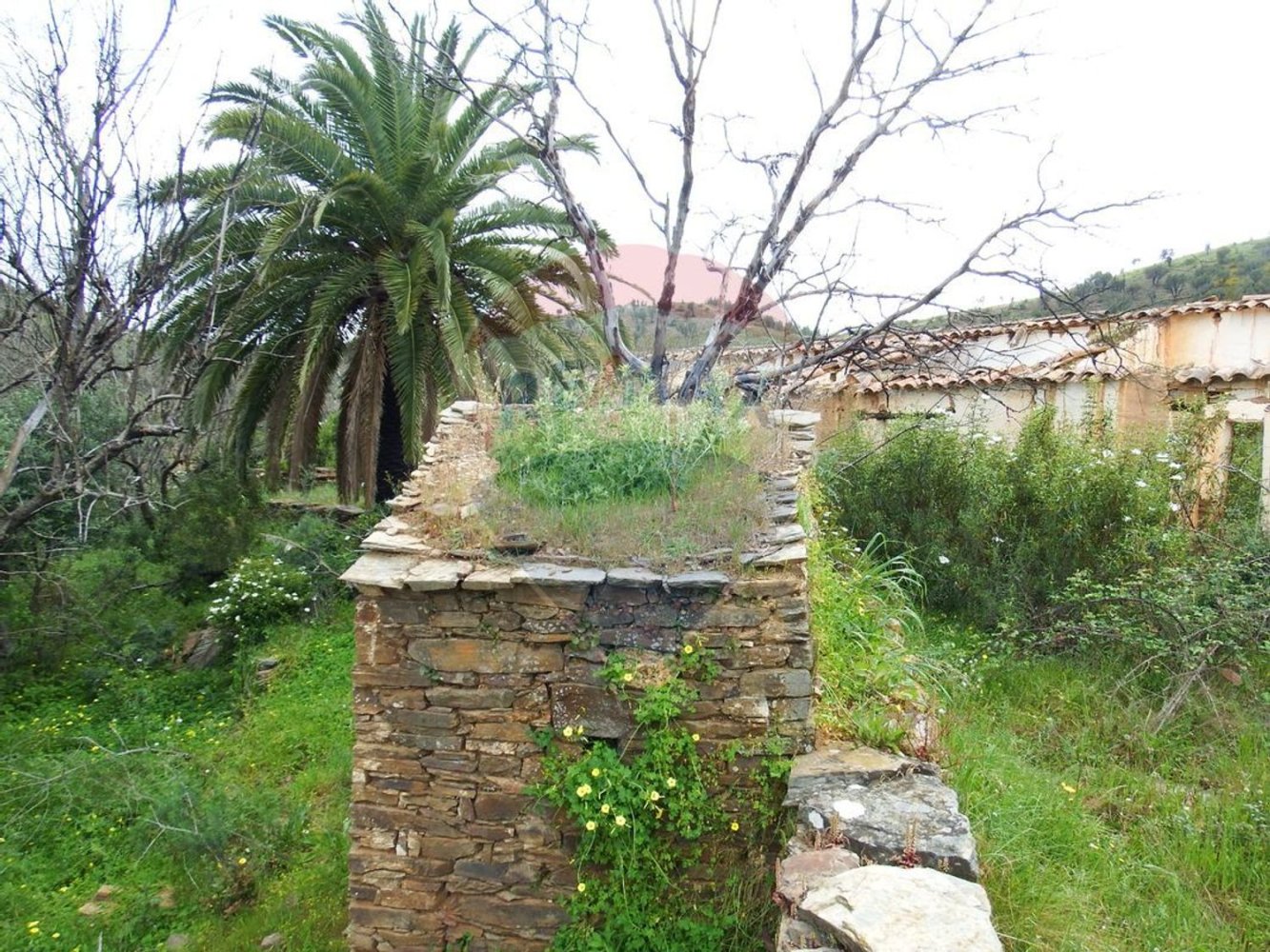 Studio in Silves, Portugal No. 39889