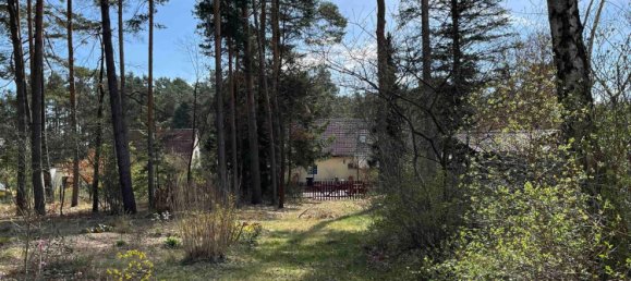  قطعة أرض في Potsdam-Mittelmark, Germany رقم 64001 15