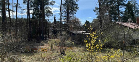  قطعة أرض في Potsdam-Mittelmark, Germany رقم 64001 9