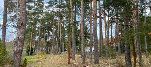  قطعة أرض في Potsdam-Mittelmark, Germany رقم 64001 13