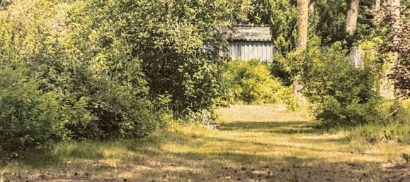  قطعة أرض في Potsdam-Mittelmark, Germany رقم 64001 2