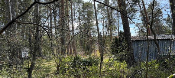  قطعة أرض في Potsdam-Mittelmark, Germany رقم 64001 14