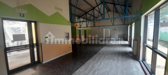 5 rooms Commercial property in Trieste, Italy No. 11167 15