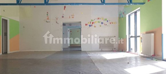 5 rooms Commercial property in Trieste, Italy No. 11167 2