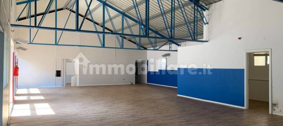5 rooms Commercial property in Trieste, Italy No. 11167 8
