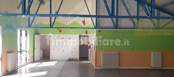 5 rooms Commercial property in Trieste, Italy No. 11167 4