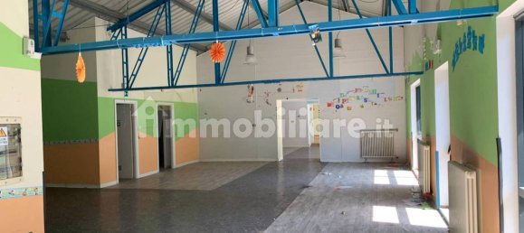 5 rooms Commercial property in Trieste, Italy No. 11167 9