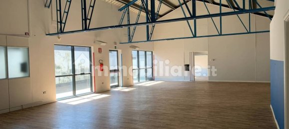 5 rooms Commercial property in Trieste, Italy No. 11167 7