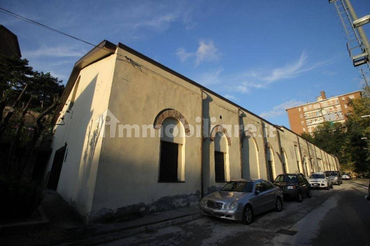 5 rooms Commercial property in Trieste, Italy No. 11167