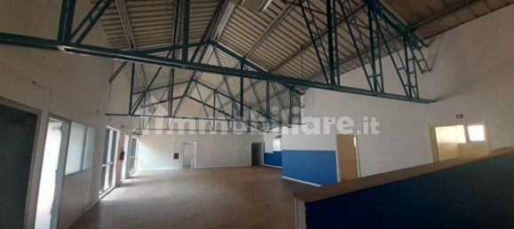 5 rooms Commercial property in Trieste, Italy No. 11167 14