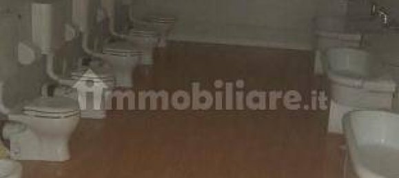5 rooms Commercial property in Trieste, Italy No. 11167 18