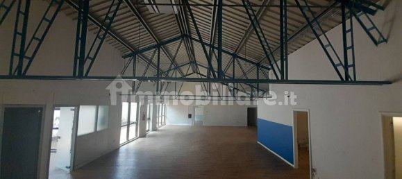 5 rooms Commercial property in Trieste, Italy No. 11167 22