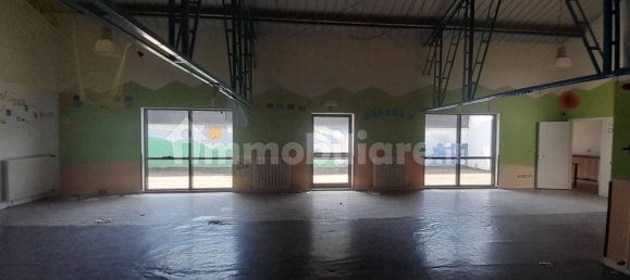 5 rooms Commercial property in Trieste, Italy No. 11167 20