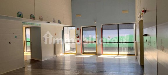 5 rooms Commercial property in Trieste, Italy No. 11167 10