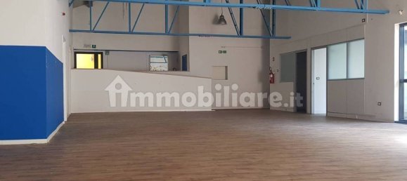 5 rooms Commercial property in Trieste, Italy No. 11167 3