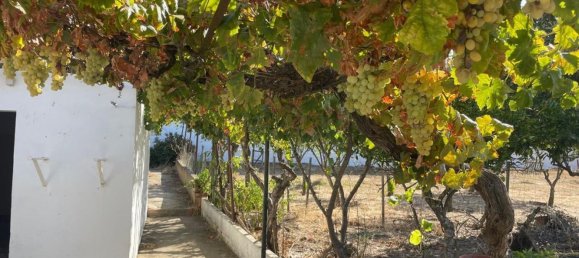 Casa de 5 dormitorios en Montemor o Novo, Portugal No. 182039 11