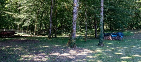  Castillos de 5 dormitorios en Dordogne, France No. 358045 8