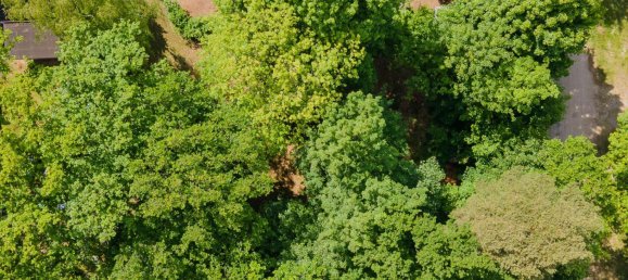  قطعة أرض في Markisch-Oderland, Germany رقم 364219 5