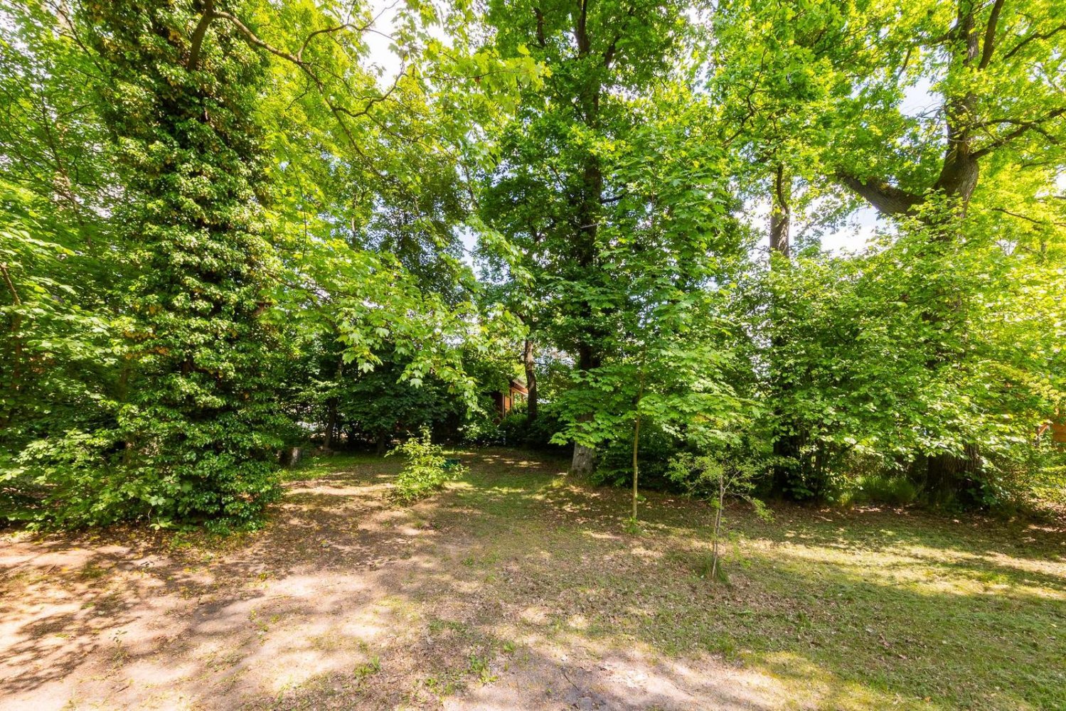  قطعة أرض في Markisch-Oderland, Germany رقم 364219