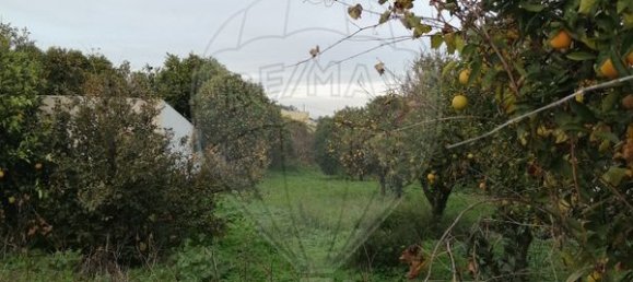 760m² Land in Barreiro, Portugal No. 45981 2