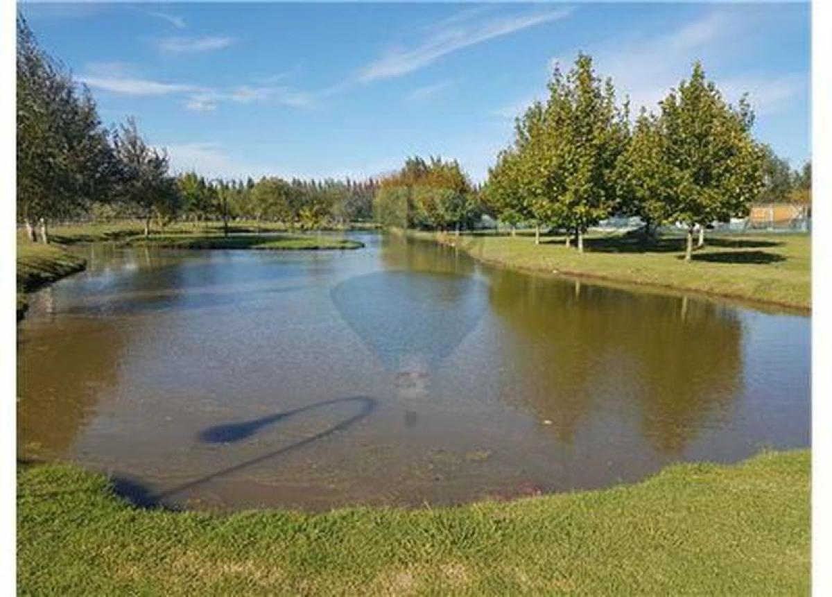  Land in Brandsen, Argentina No. 36900