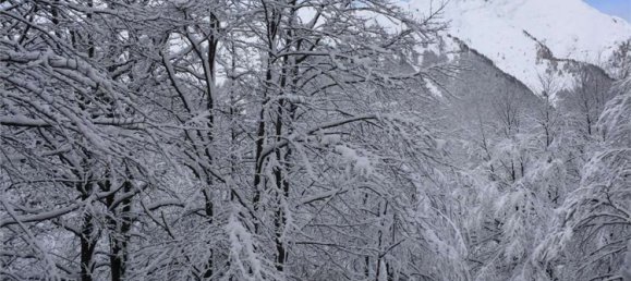 4 rooms Duplex in Pordenone, Italy No. 158792 13