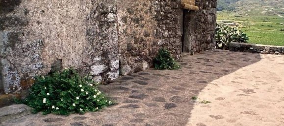4 chambres Maison à Pantelleria, Italy No. 214869 2