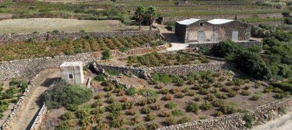 4 chambres Maison à Pantelleria, Italy No. 214869 3