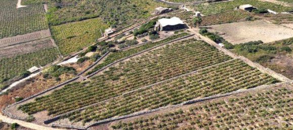 4 chambres Maison à Pantelleria, Italy No. 214869 8