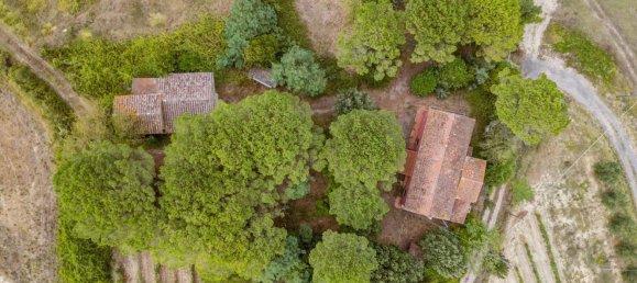 Casa de 7 habitaciónes en Fauglia, Italy No. 285682 9
