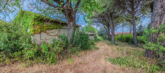 Casa de 7 habitaciónes en Fauglia, Italy No. 285682 27