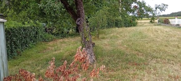 2 bedrooms House in Loir-et-Cher, France No. 349796 17