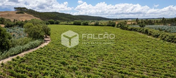 Terreno en Azambuja, Portugal 23488 m² No. 39530 38