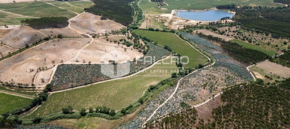 Terreno en Azambuja, Portugal 23488 m² No. 39530 20