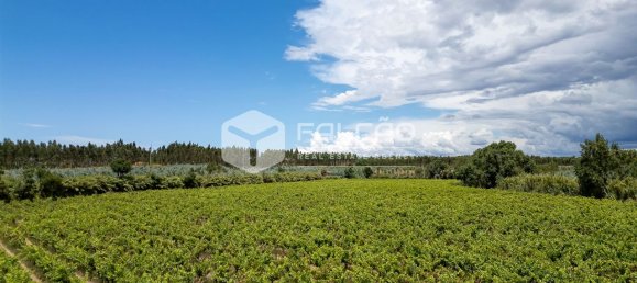 Terreno en Azambuja, Portugal 23488 m² No. 39530 31